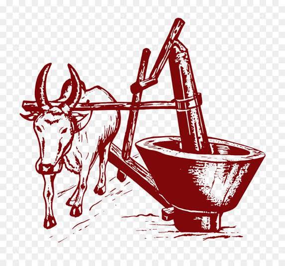 WhatsApp Image 2025-03-31 at 7.04.53 PM (1).jpeg